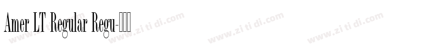 Amer LT Regular Regu字体转换 Amer LT Regular Regu字体转换